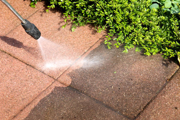 Best Exterior Home Cleaning  in Level Green, PA